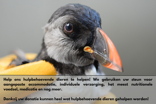 Doe een fiscaal aftrekbare gift