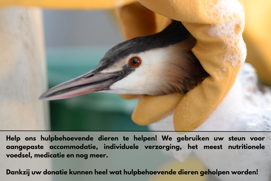 Doe een fiscaal aftrekbare gift